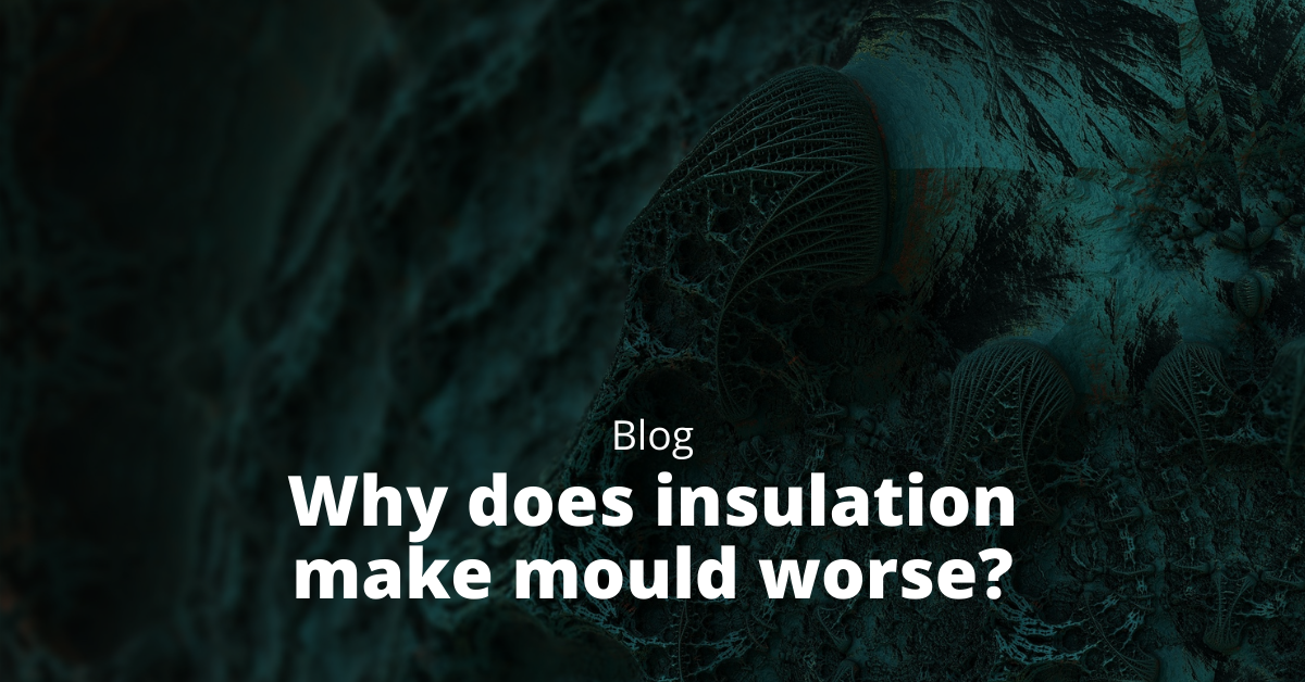 Why does insulation make mould worse?