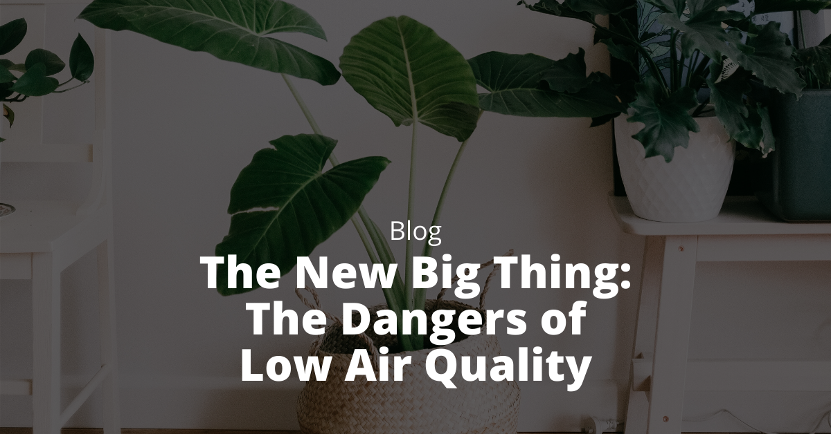 The New Big Thing: The Dangers of Low Air Quality