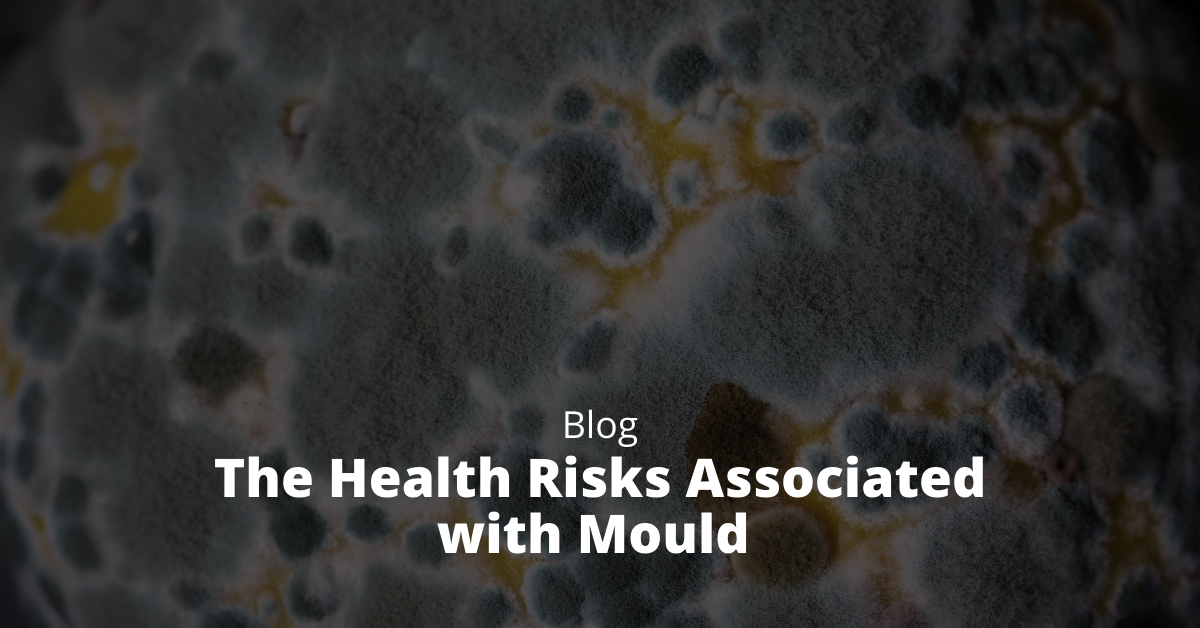 The Health Risks Associated with Mould